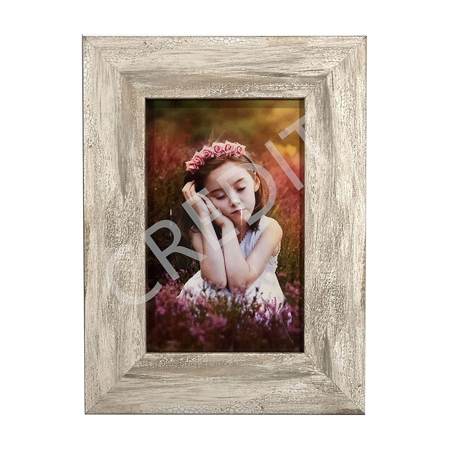 	adobe illustrator photo frame design