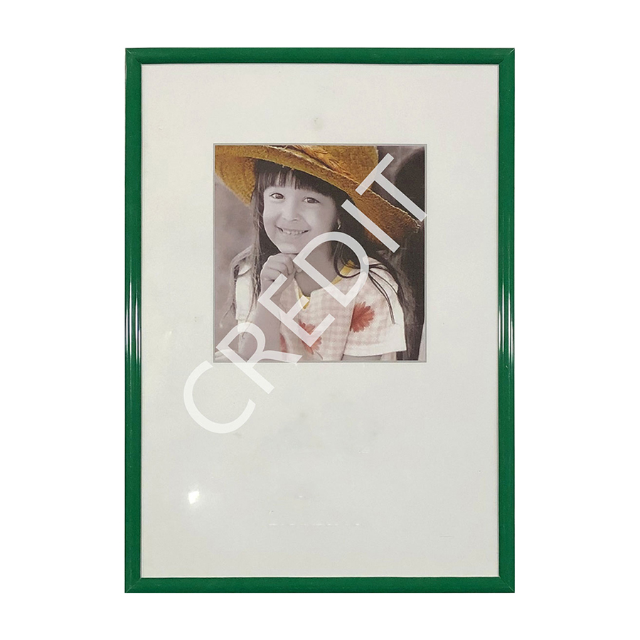 pvc pipe photo booth frame